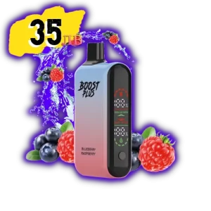 Boost Plus Blueberry raspberry